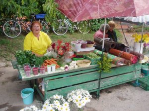 Daugavmalas dārziņu produkcija un saimniece